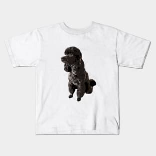 Poodle Mini Toy Black Beauty Kids T-Shirt